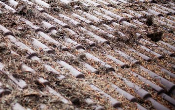 Thornyhill roof cleaning companies