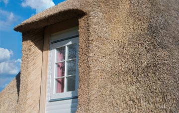 Thornyhill thatch roof disadvantages